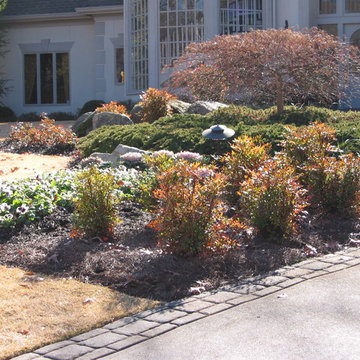 Landscape Design & Installation