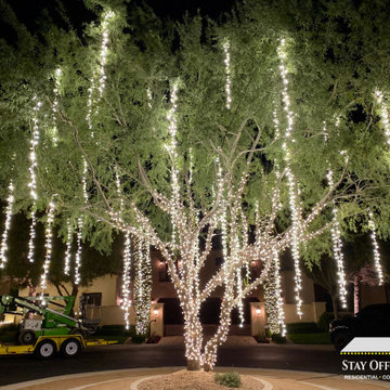 Christmas Light Installation by Stay Off The Roof!