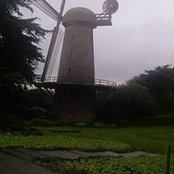 Foto von Barbara Taylor