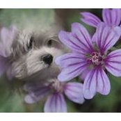Ирина Харламова's photo