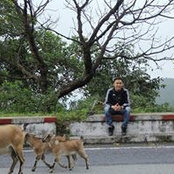 Khánh Nguyễn's photo