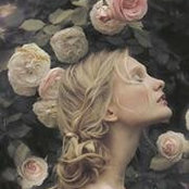 Ivy Foxs billede