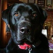 Tracey Young's photo