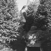 Mallory Geismar's photo
