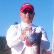 Robert Young's photo