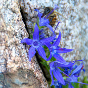 Thomas Wolhart's photo