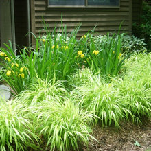 main garden ideas
