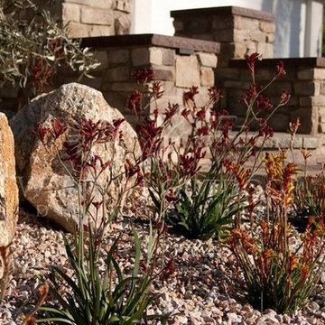 Xeriscape: Western Outdoor Designs