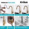 Oletto Pull-Down 1-Hole Kitchen Faucet, Brushed Brass, Water Dispenser Ff-100