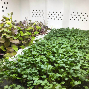 Urban Cultivator