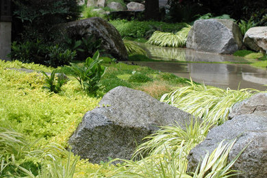 Photo of a contemporary landscaping in Seattle.