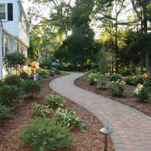 Landscape Ideas