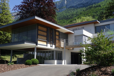 Cette image montre une façade de maison design.