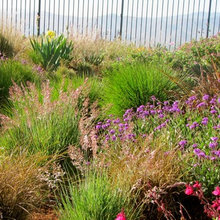 Landscape Ideas