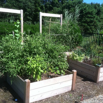 Vegetable & Herb Gardens
