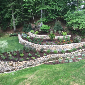 Riparian Stream Restoration : Pound Ridge NY