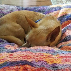 Dog Beds - Products