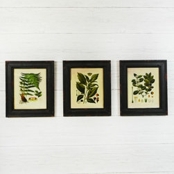 Rustic Metal - Prints And Posters