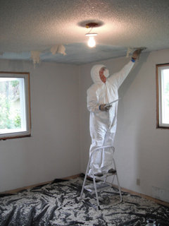 have you ever dealt with popcorn ceilings? have you ever dealt with popcorn ceilings?