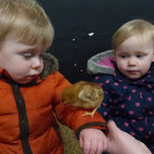Deborah Heney's photo