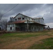 Joan Webb's photo