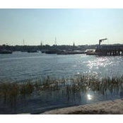 Heather LaPointe Packard's photo
