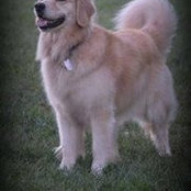 Beverly Westerkamm-Wallrauch's photo