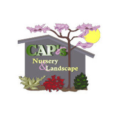 CAPS Nursery and Landscape