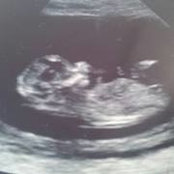 Foto von Sarah Bricher