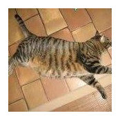 Carmen Lee's photo