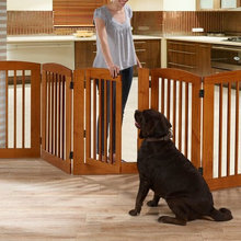 Dog gate
