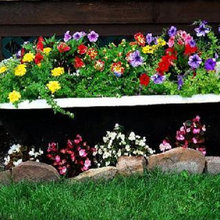 Old Items Used as Planters