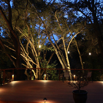 Orinda Oak Forest Landscape and Lighting