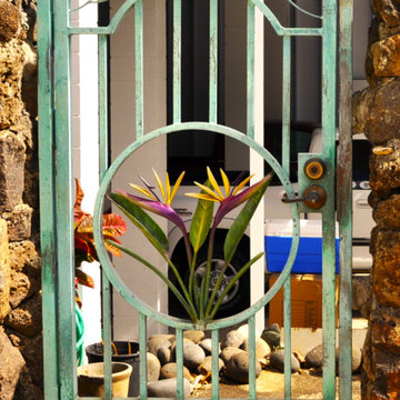 Bird of Paradise