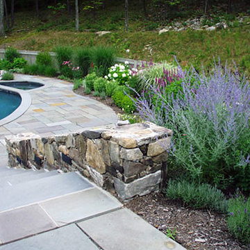 Trees, Shrubs, & Other Landscape Design