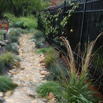 swale filters rainwater and recharges the water table