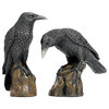 Design Toscano Mystic Night Raven Statues