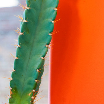 Mexican Eatery, Cedar Street