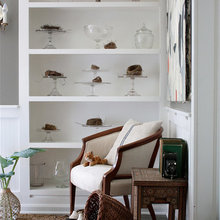 shelves/display