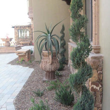 Front Yard/Entry Ideas