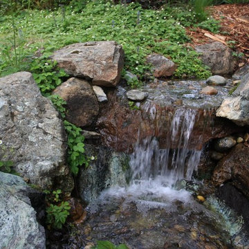 Water Features