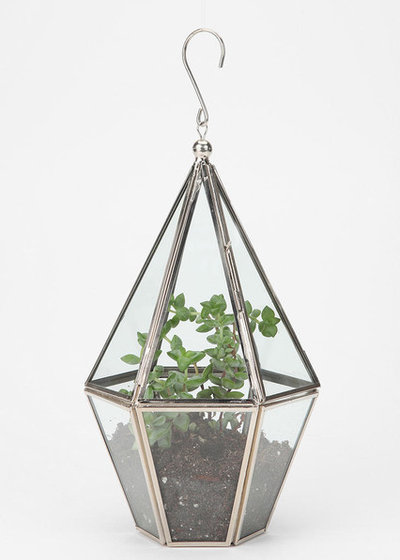 Modern Terrariums by Urban Outfitters