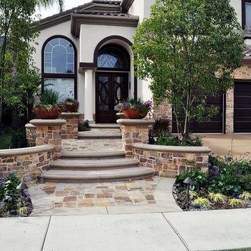 Frontyard