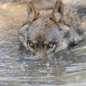 Michel Marti's photo