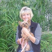 Foto von Sandy Knox