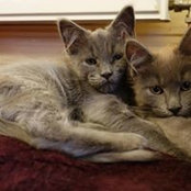 Lucy Sebestyen's photo