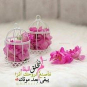 Shaimaa Farouk's photo