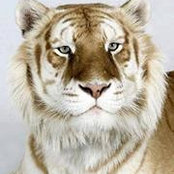Denise Dewey's photo
