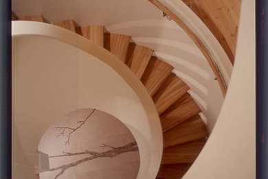 Diseño de escalera de caracol clásica renovada grande con escalones de madera, contrahuellas de madera y barandilla de madera