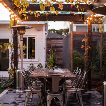 Contemporary Backyard Oasis